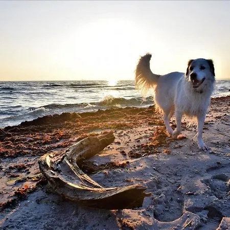 Appartement Haus Am Juliusruh